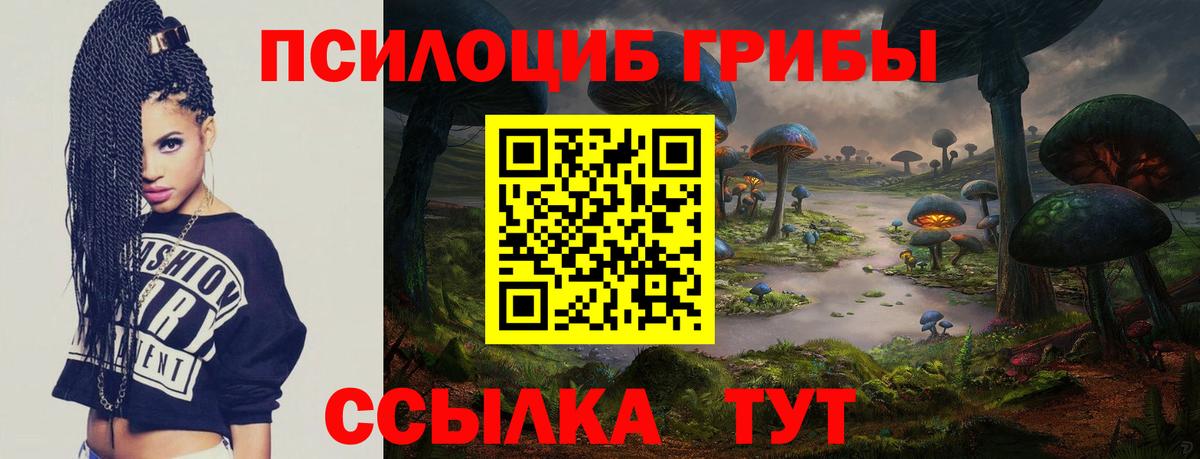 Псилоцибиновые грибы прущие грибы  Галлюциногенные грибы ЛСД  Тихорецк  Вход с VPN 
